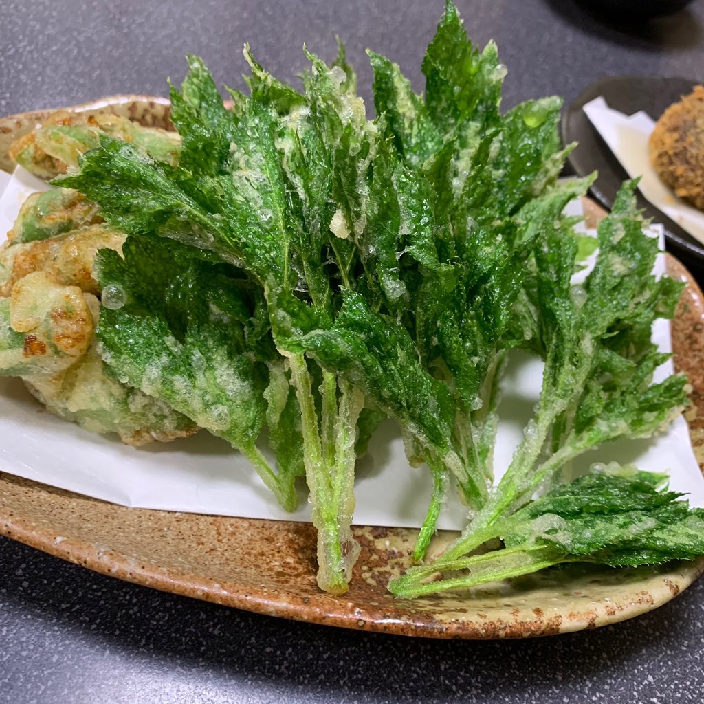 あしたばの天ぷら Twitter Search Twitter