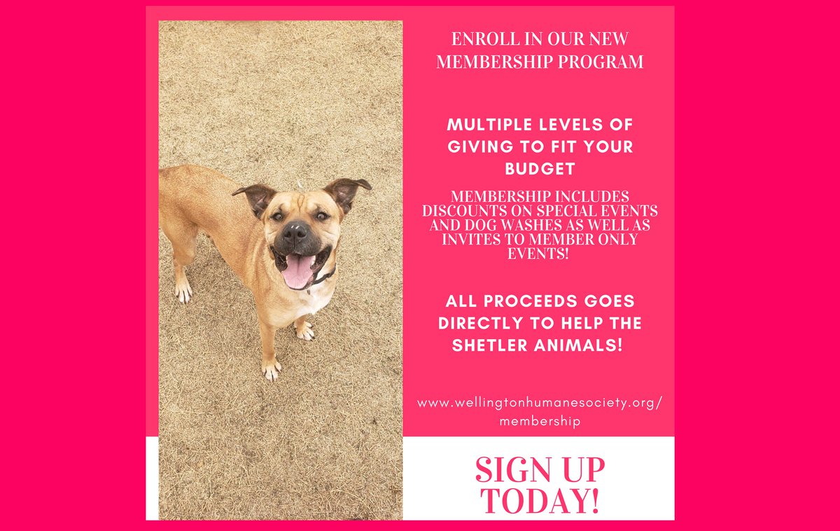 SUHumaneSociety's tweet photo. Enroll in our new membership program! You have the option to pay in full or do an automatic monthly donation. We have multiple levels of giving to fit your budget. Members receive discounts and more! You can fill out a form on our website https://t.co/zreh19e0Ug https://t.co/6yTYMwjDps