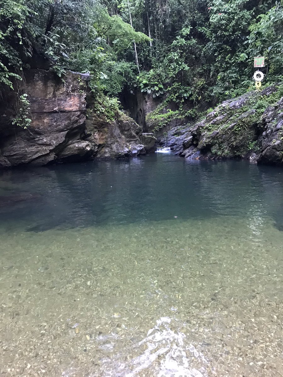 staceylalchan2's tweet photo. 3 Pools โฅ๏ธ#3pools 2nd pool very deep ๐ https://t.co/UH9vuF19Rd