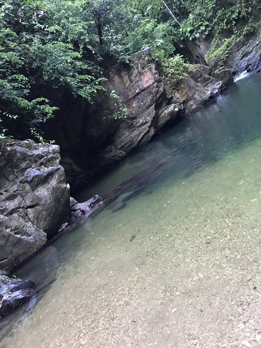 staceylalchan2's tweet photo. 3 Pools โฅ๏ธ#3pools 2nd pool very deep ๐ https://t.co/UH9vuF19Rd