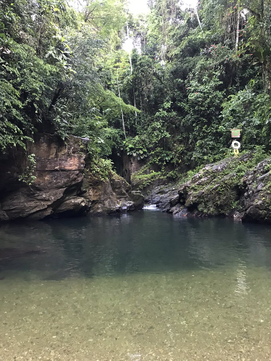 staceylalchan2's tweet photo. 3 Pools โฅ๏ธ#3pools 2nd pool very deep ๐ https://t.co/UH9vuF19Rd