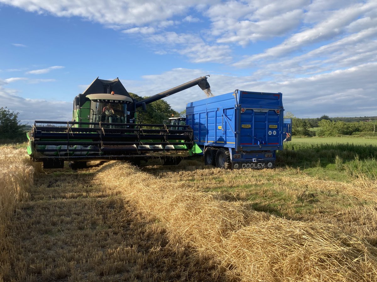 Start of harvest 20 in Ardmore. New variety Casting for ⁦<a href="/seedtechnology/">Seed Technology Ltd</a> ⁦<a href="/declanprenderga/">declanprendergast </a>⁩ <a href="/DeutzFahrUK/">Deutz Fahr UK</a>⁩ #harvest20#ag