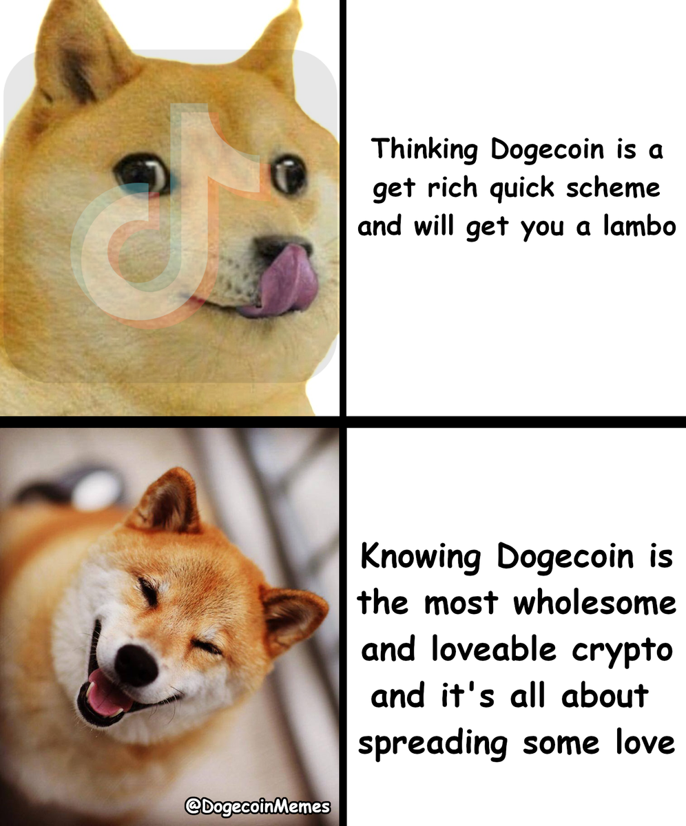 Dogecoin Meme Moon : Doge Moon Clean Memes - Dogecoin is an alternative ...