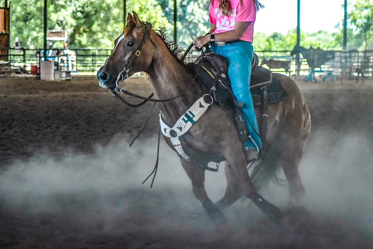 allie_joy15's tweet photo. I wanna be a cowboy baby https://t.co/9ov0CJ79oc