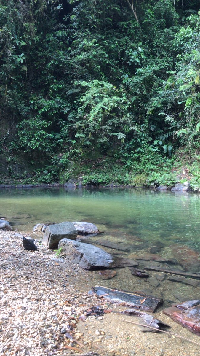 staceylalchan2's tweet photo. My spot last couple occasions lol #3pools till I finally reached by pool 2 & 3 even took a mini dive in two ๐ slide down one and gained a back ache, gosh I love Blanchisseuse https://t.co/APiho8vb6y