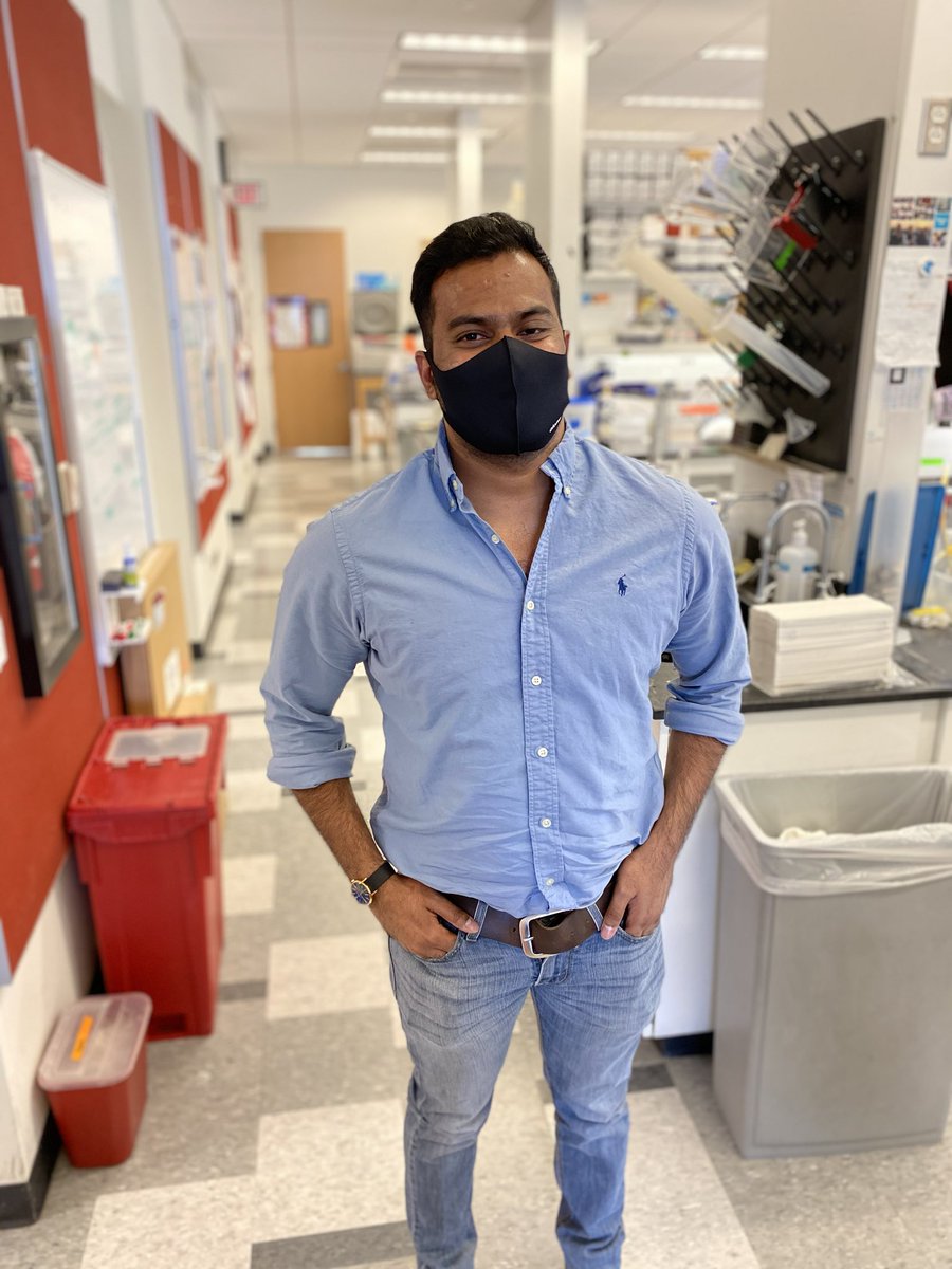 Boris Striepen tweet media