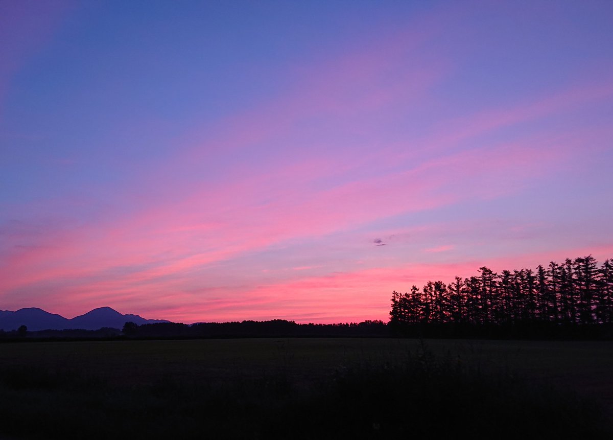 cotoricoro's tweet photo. 車でおうちに帰る途中、朝日きれいだな……って思ってたら、なんか遠くまで行ってしまった。 https://t.co/qPxfxZyVyu