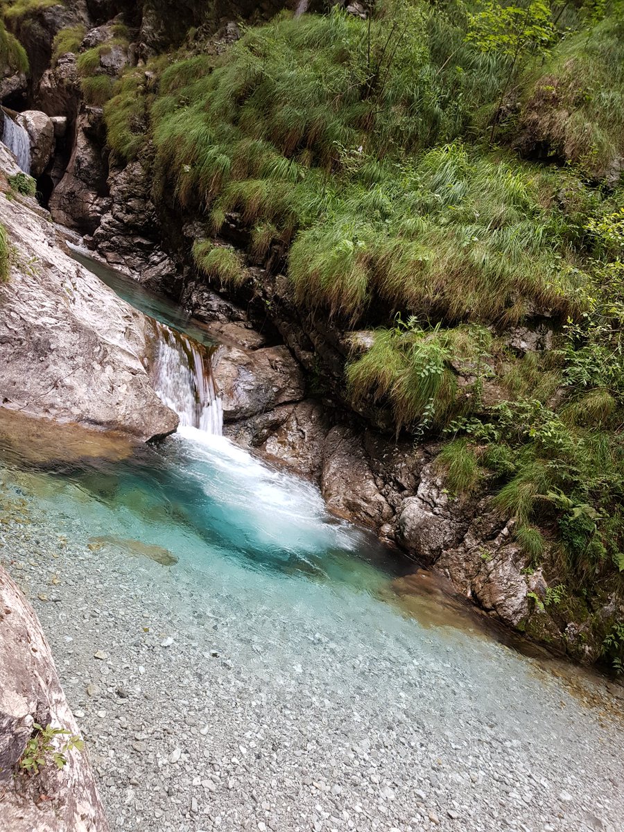 DebPiaz_16's tweet photo. #valvertova #valvertovacascate #vallibergamasche #Bergamo #estate2020 #bellezzebergamasche #italia #bellezzeitaliane #turismobergamo #bergamoturismo #igersbergamo https://t.co/Ra3PXuRCVf