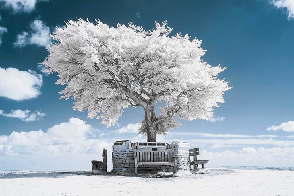 col_dphoto's tweet photo. A lone tree #NaturalBeauty #nikonphotography https://t.co/qt1S7FXc30