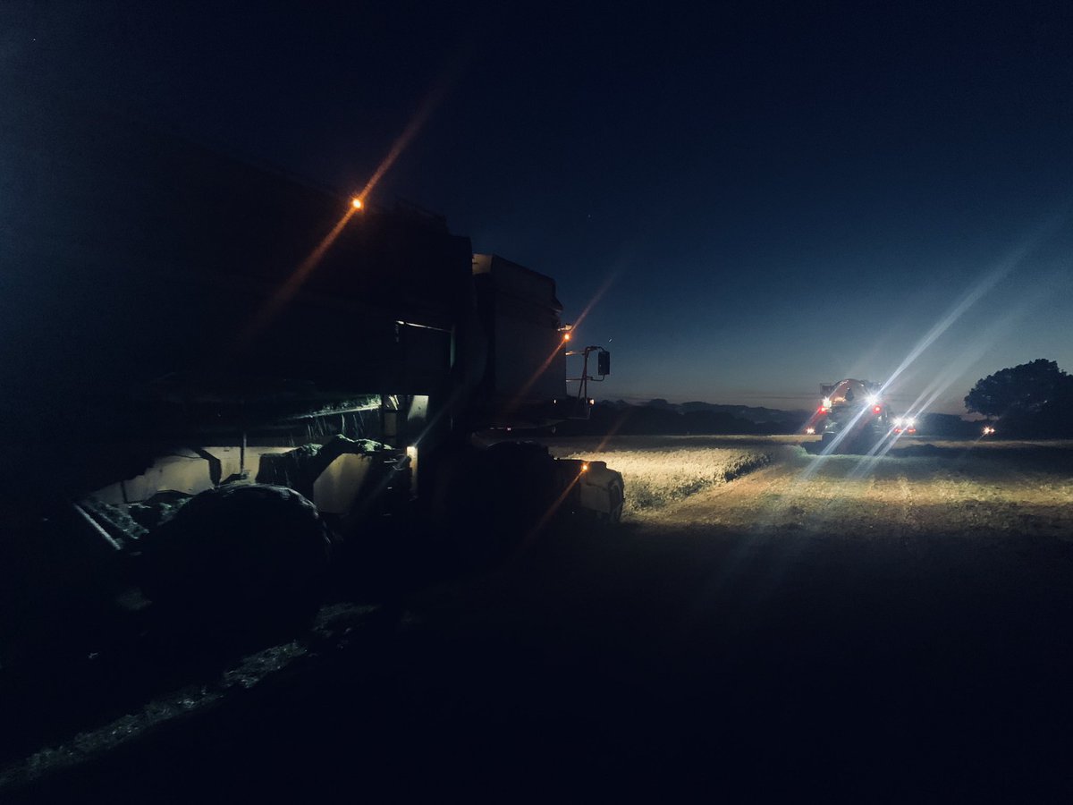 Russell Corfield tweet media