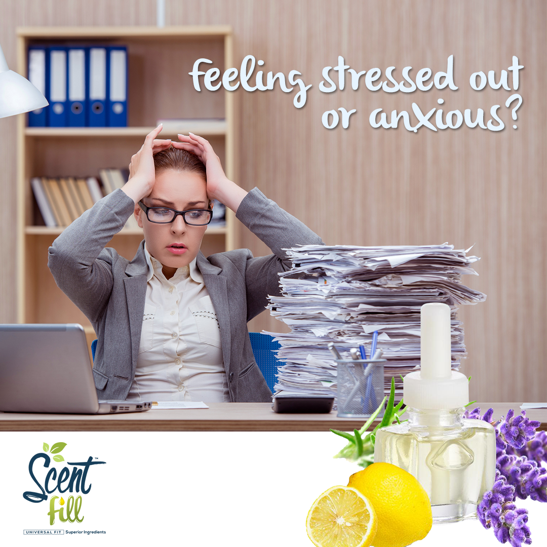 ScentFill's tweet photo. Try out Relax Blend to create a relaxing and tranquil environment to help you disconnect. https://t.co/2WCpOMD4Az #aromatherapy #essentialoils https://t.co/D1fKdwJnRQ