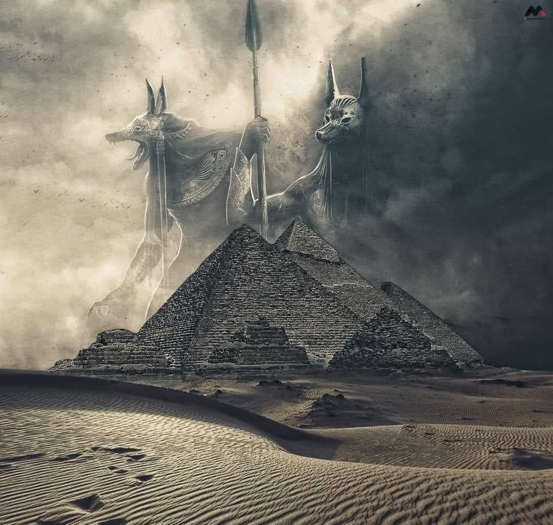 Ahmed44782341's tweet photo. Simply, it is Egypt and we are the Pharaohs 🇪🇬
#كلنا_الجيش_المصري https://t.co/tdwSEnO5zA