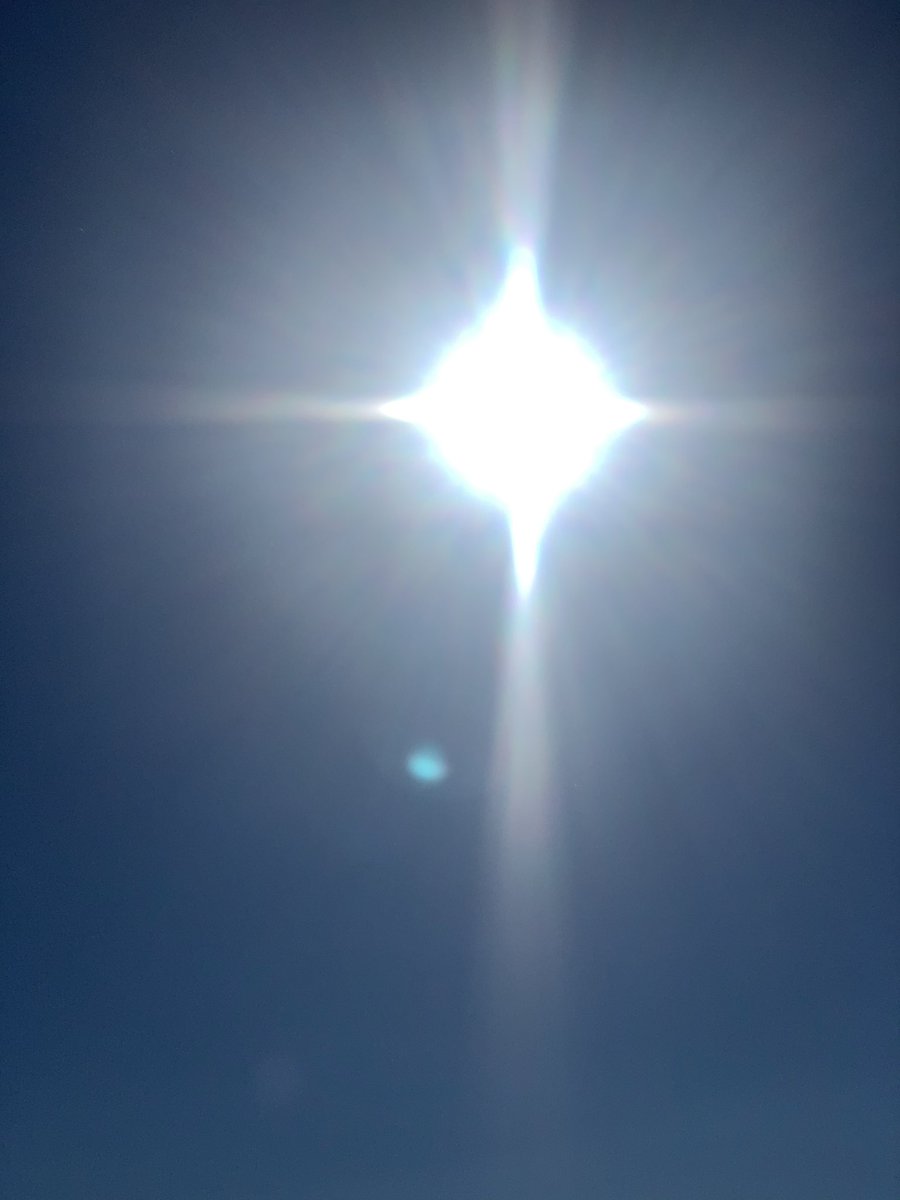 bea_passeri's tweet photo. ☀️ https://t.co/hX5TF3GJeK