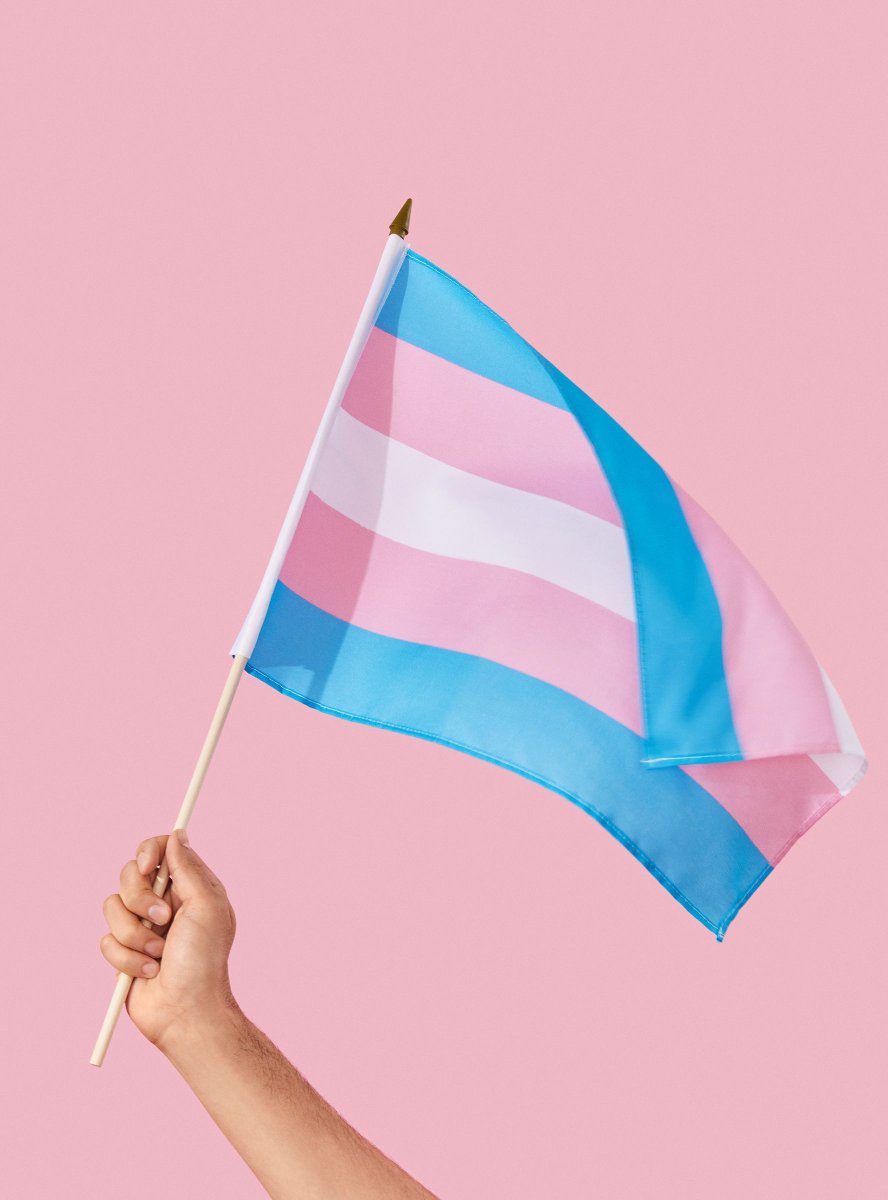 King_Mix_Papper's tweet photo. A una amiga trans la han estado atacando demasiado sacándo a flote el tema del suicidi0 presente dentro de la comunidad trans , abro hilo con estudios sobre esto y viéndo las verdaderas causas . https://t.co/n58QPKNvKm