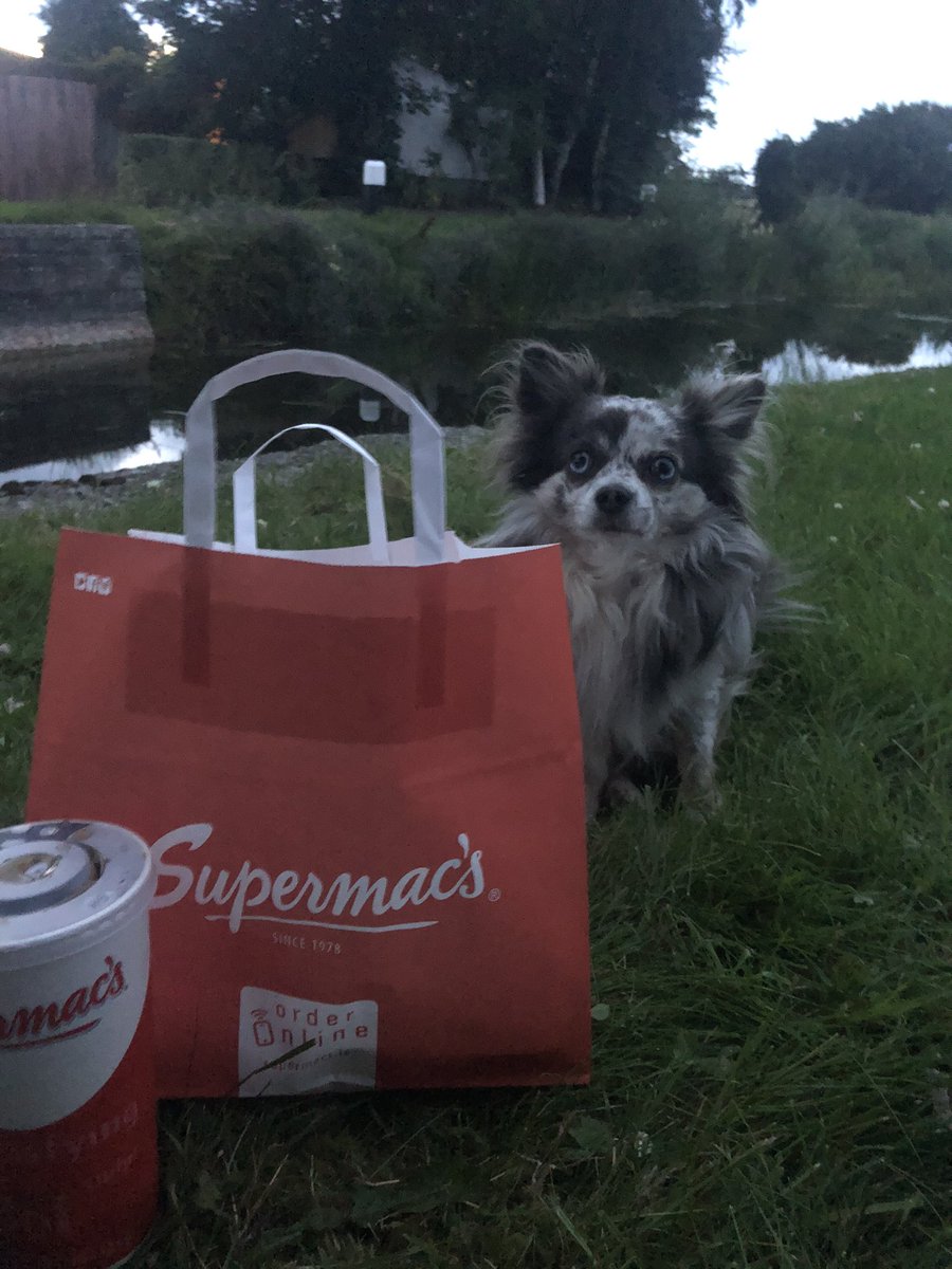 stella43854781's tweet photo. So earlier today I bumped into the Irish waterways man and he gave me loads of tips, including where to camp, just now he turned up at my tent to deliver me a SuperMacโs! Im speechless ๐ฅฐ๐ฅฐ #breakthrocancer https://t.co/NCmjvp2zIn