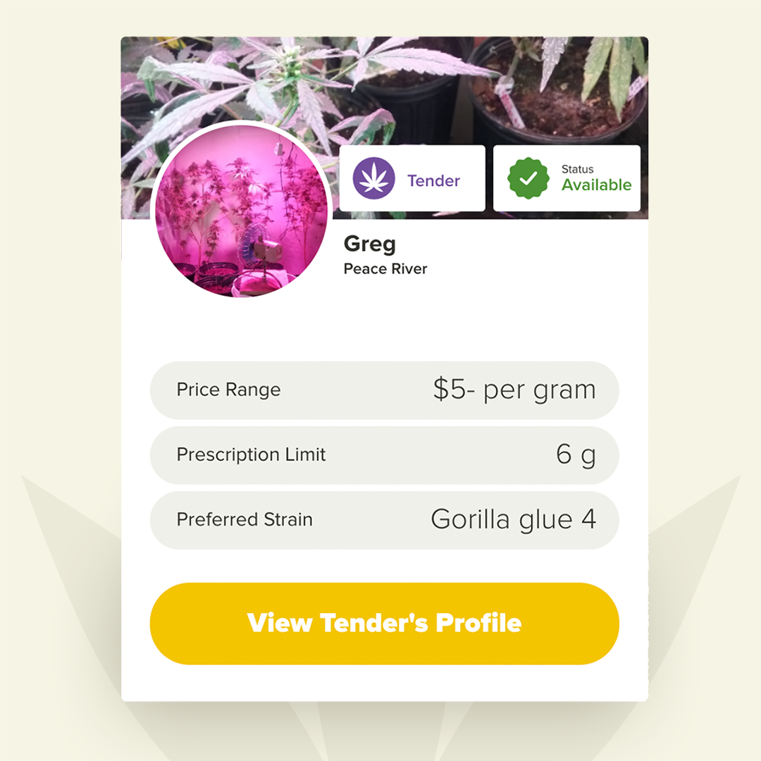 Weetender's tweet photo. Meet Greg, one of our most Northern Tenders. Grows a strain known for its strong pain busting effects. He grows purely on renewables and organically. He grows mostly ruderalis due to longitude #acmpr #canadacannabis #hightimescanada #painrelief #growyourown #backpain #weetend https://t.co/QqE2oIm5NG