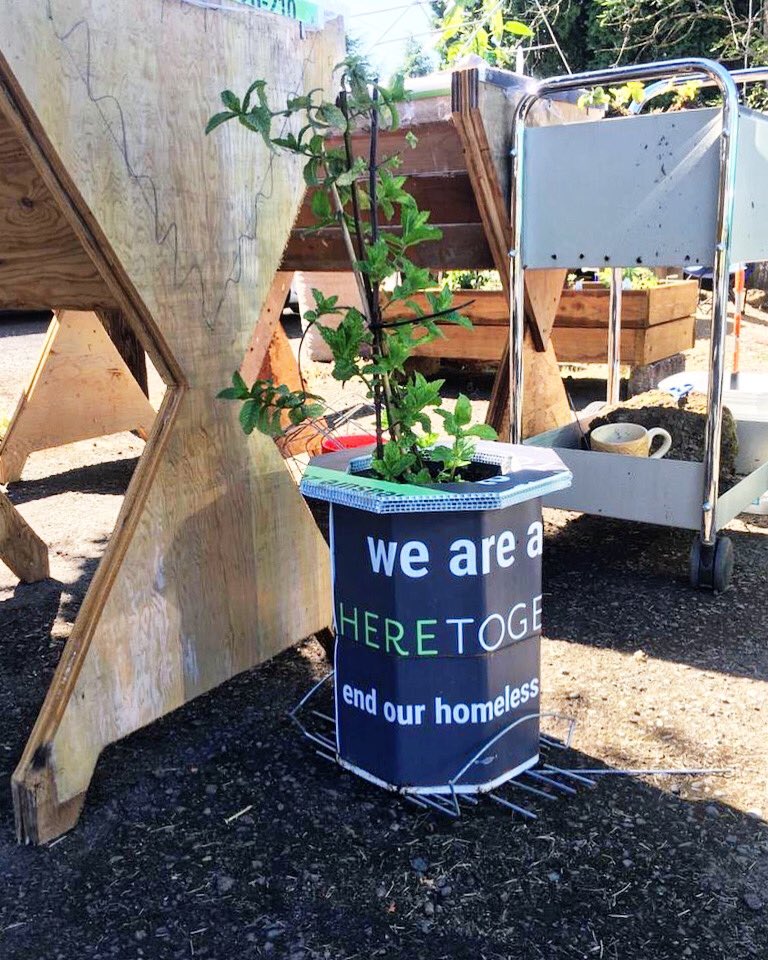 HereTogetherOR's tweet image. We love to see HereTogether lawn signs live on after our winning campaign. Here’s a tomato planter, made by the industrious folks/folx at Do Good Multnomah! 🍅
Send us a photo of your repurposed sign for us to share at info(at)heretogetheroregon(dot)org!