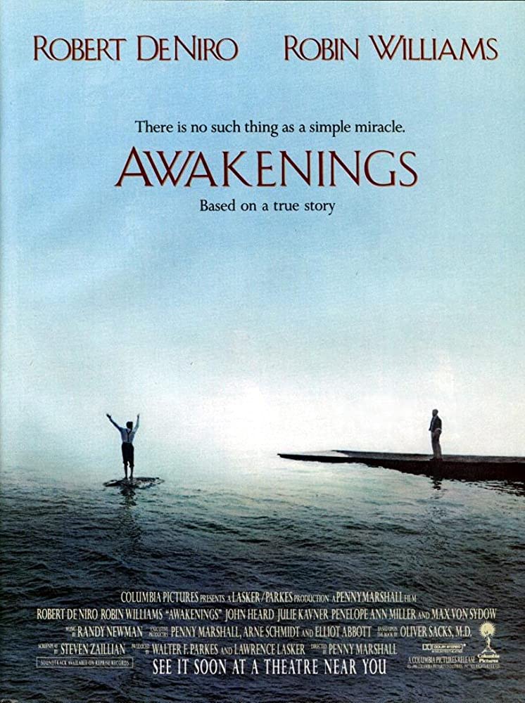 dramático, en papeles más sobrios, con los que recibió muchos elogios.Tales fueron los casos como en:“Moscow on the Hudson” (1984, de Paul Mazursky); “Awakenings” (1990, de Penny Marshall); el soberbio papel de angustiado ex profesor en “The Fisher King” (1991, de Terry