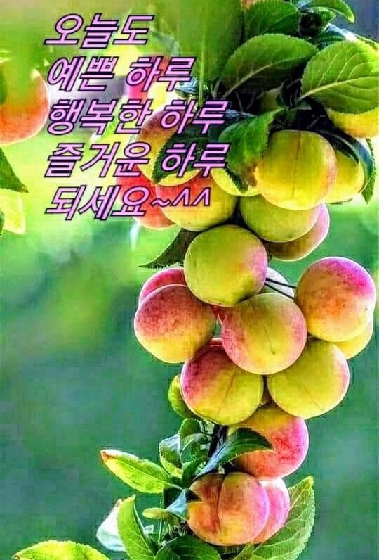 아둔한 자는 말을 많이 하지만 들을 내용이 없다.ᆢ벤자민 프랭크린.// 소자 양 요한 💕