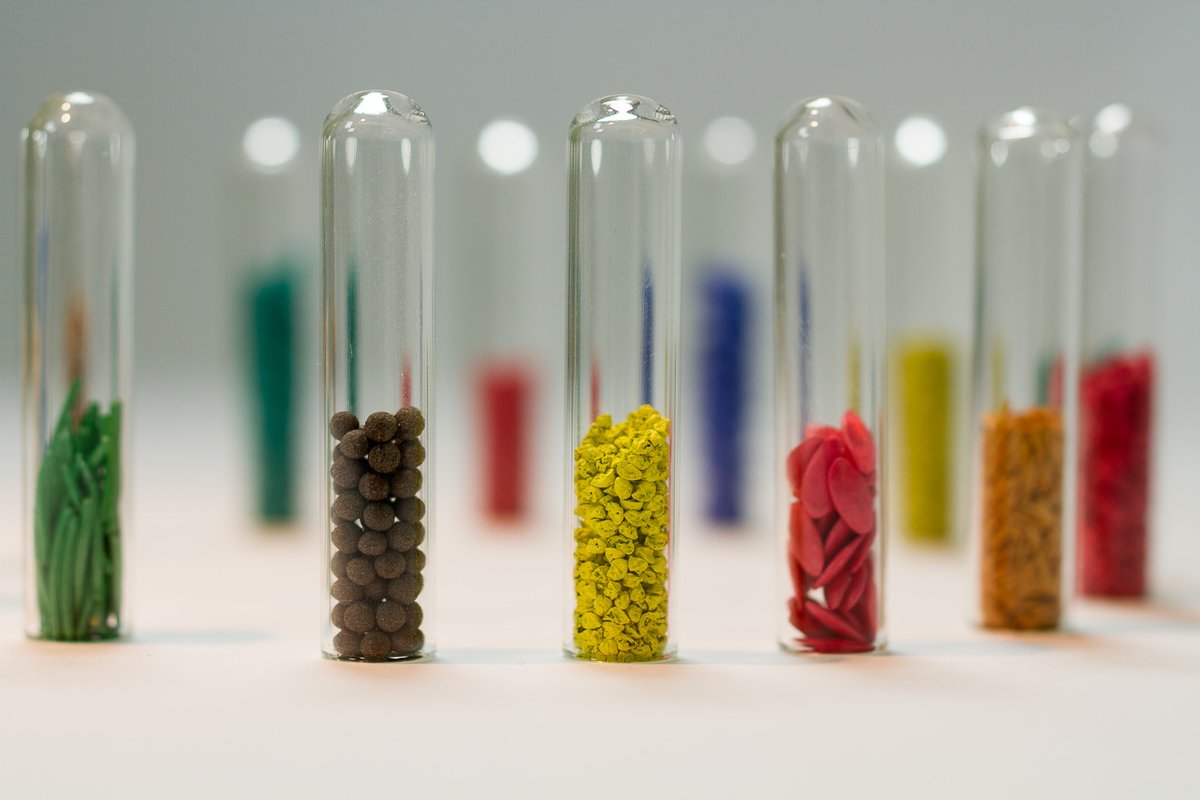 EuroseedsEU's tweet photo. The treatment of seeds with plant protection products assures both seed and plant health by restricting pests and pathogens. 
👇👇👇
https://t.co/8OzyrtdyNp
#seedtreatment #seeds #planthealth 

Picture credit: Suet https://t.co/VINRWkNBrt