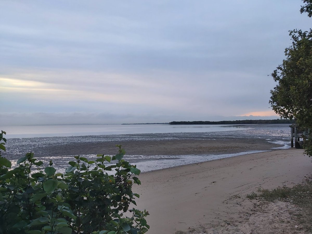 briankcorrigan's tweet photo. Good Morning Twitter Have a Terrific Tuesday, Cloudy Morning in D Bay. https://t.co/GCtU3CY5eI