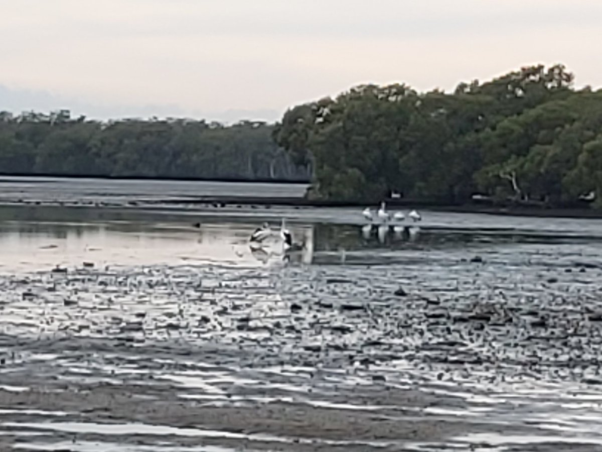 Good Morning Twitter Have a Terrific Tuesday, Cloudy Morning in D Bay.