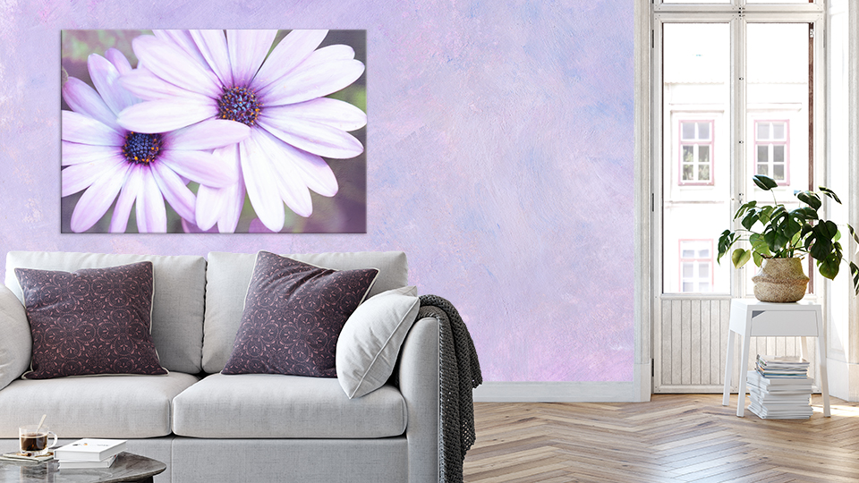 Looking for the perfect gift for that special friend? Check out 'Friendship' canvas print by Anita Pollak. bit.ly/2FriendshipCan… #friendship #purpleDaisies #twoflowers #floralFriendship #wallart #canvasPrint #homedecor #giftsforher #giftsofFriendship #friendshipgifts #macro