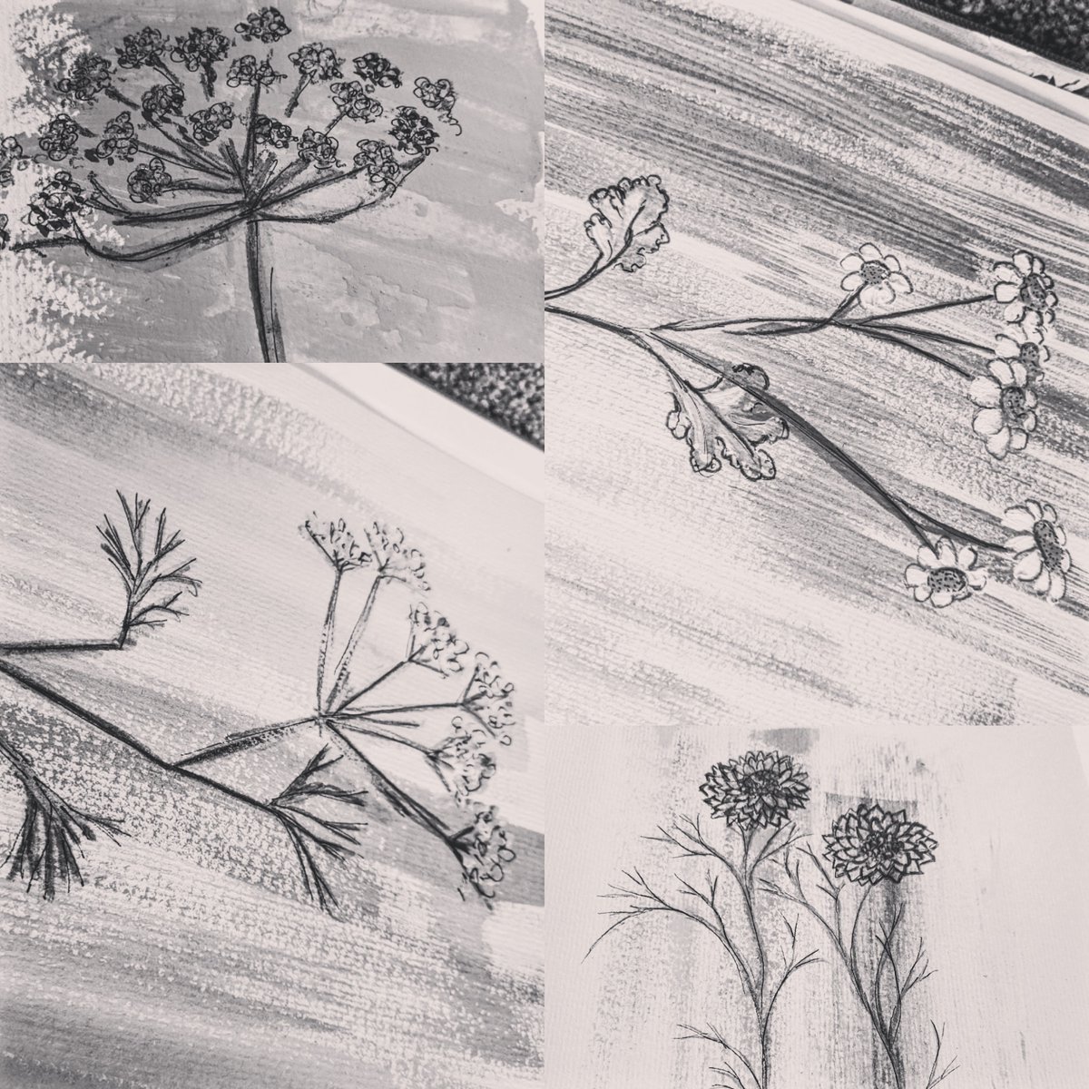 Wild flower doodles #illustration #weddingideas #wildflowerhour