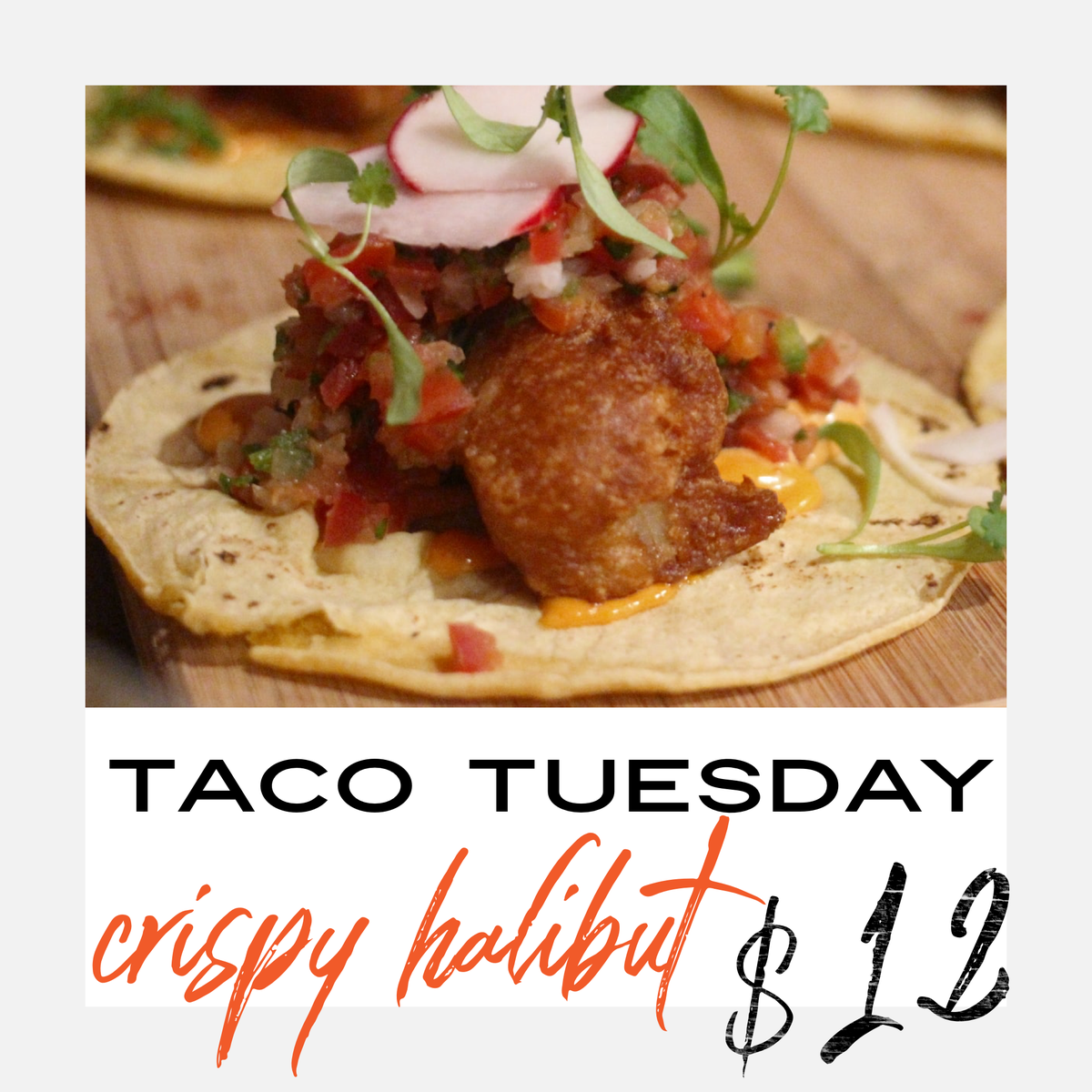 PasquinisFIF's tweet photo. Taco Tuesday Special! 3 beer battered halibut tacos in corn tortillas with zesty slaw &amp; tomatillo salsa. GLUTEN FREE $12. ORDER ONLINE:  https://t.co/ZmnxySUpTh #tacotuesday🌮 #freshfish🐟 https://t.co/mpYUclG3DM