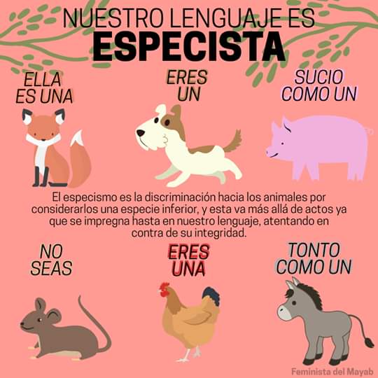 OldManRequiem's tweet photo. @LZCOficial Al menos los boomers tienen una excusa: acceso limitado a la información. Las generaciines "Y" y "Z" tenemos acceso a todo el conocimiento del mundo y, aún así, hay quienes que se quejan de cosas tan absurdas como que nuestro lenguaje atenta contra la integridad de los animales. https://t.co/UQrnP46Rp4