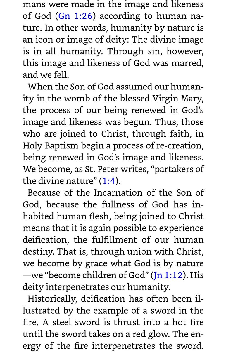 Yes, Christians do partake in the divine nature through grace, not by nature unlike Christ. This is the historical Orthodox doctrine of theosis or deification. For a succinct explanation, see the below study article in the Orthodox Study Bible: