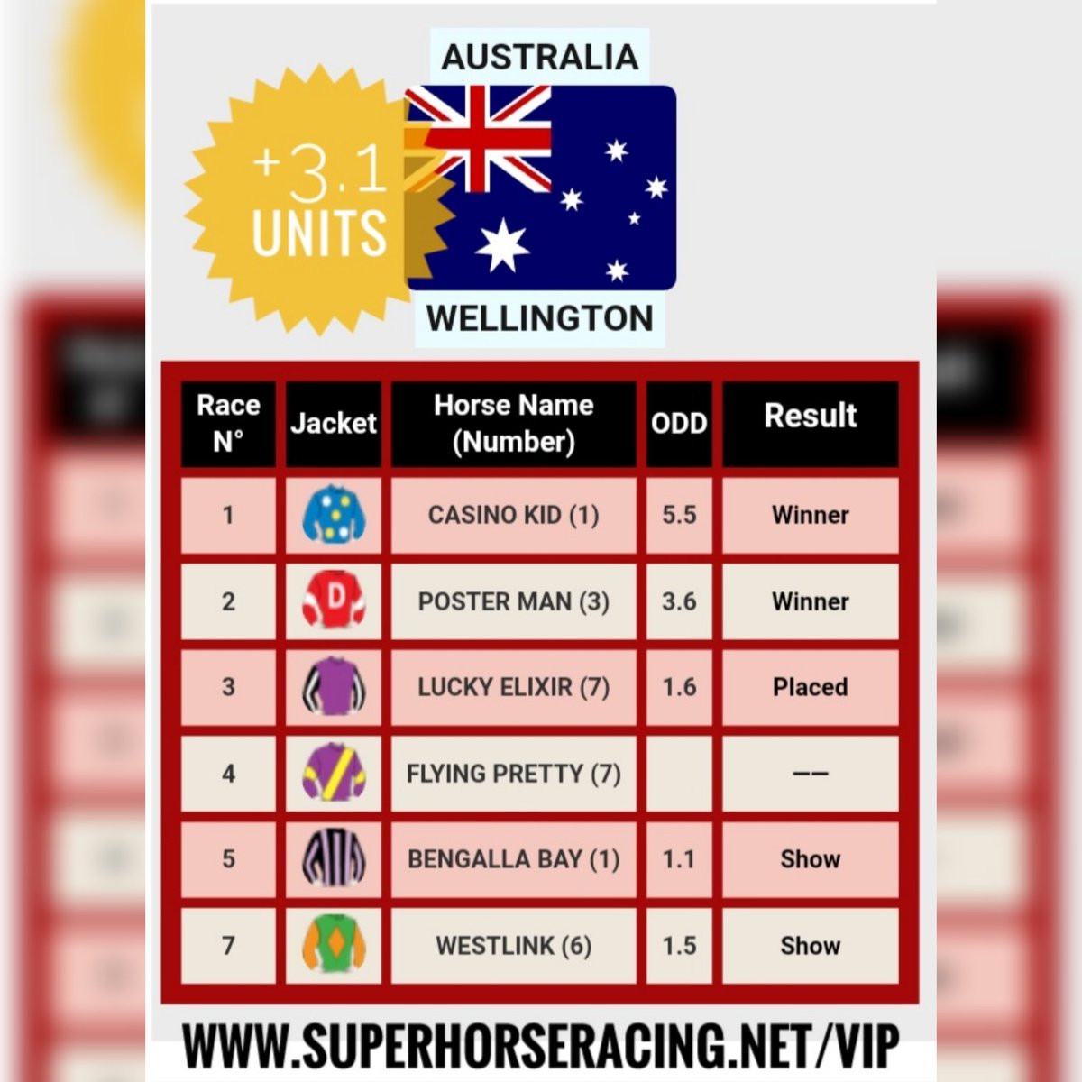 Super Horse Racing Tips tweet media