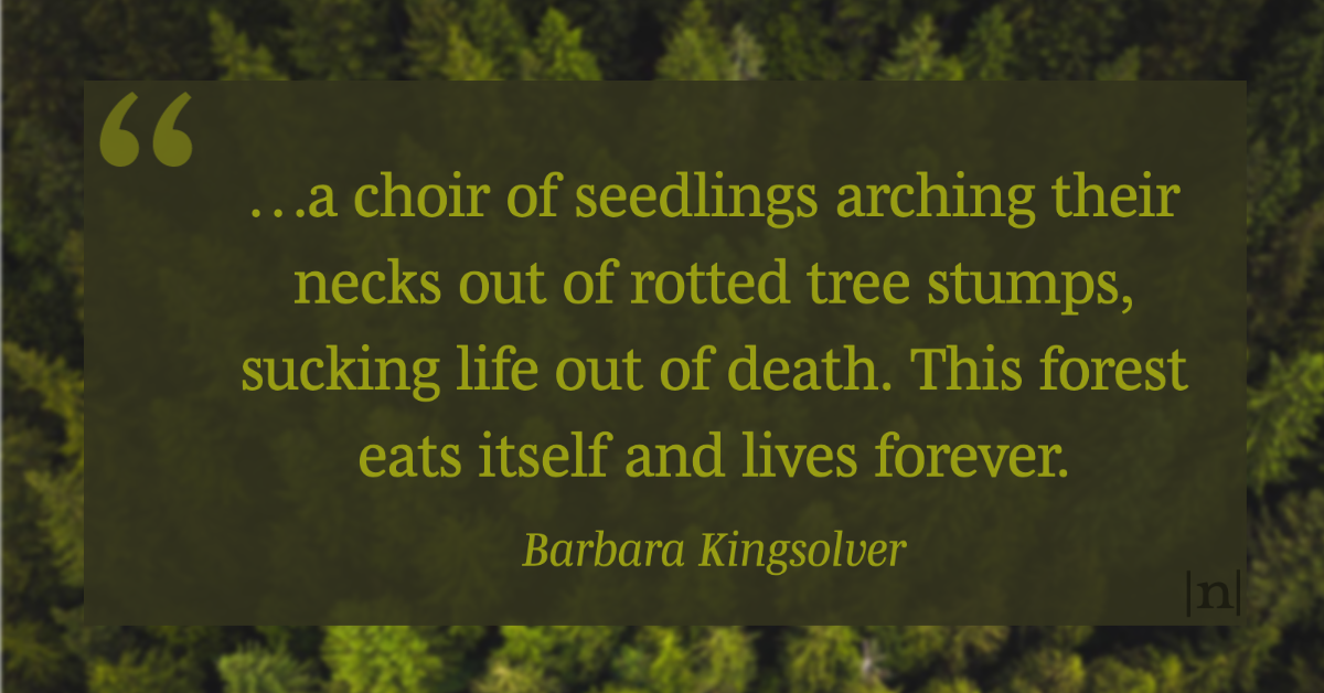 |n|otabilia 826  ⁂ from _The Poisonwood Bible_ ⁂ Barbara Kingsolver || Like great writing? Subscribe to *Notabilia*, a daily(ish) newsletter → ktxc.to/nbts

 #quotes  #BarbaraKingsolver #novel #nature #literaryquotes #commonplacebook ⁣ #notabilia  #newsletter