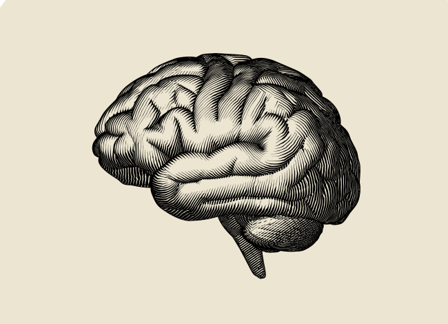 HealthTechPulse's tweet photo. Collaboration between @CerevelTx and @Cyclica to use AI to accelerate drug discovery for neuro diseases.

https://t.co/NqhHFMNN66 

#healthtech #neuroscience #drugdiscovery https://t.co/QI6waMItlu