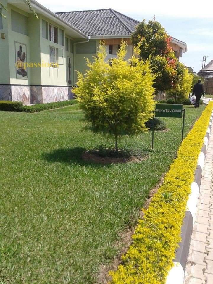 Passionsltd's tweet photo. Would you like to have a beautiful house, neat compound, beautiful flowers,  pavers or a beautiful finishing with stone cladding? We're here to serve you.  +256 782 451967 +256 754 451967
 https://t.co/uUjvu6C24F https://t.co/3moreZZM6t