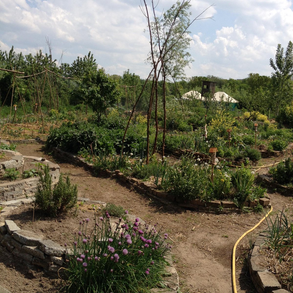 supportyourlocalsNL tweet media