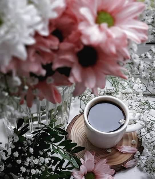 miperez63's tweet photo. Guten Morgen! Buenos días! Good morning! Bonjour! Buongiorno! Bom dia! https://t.co/8Oj3MnfyWJ