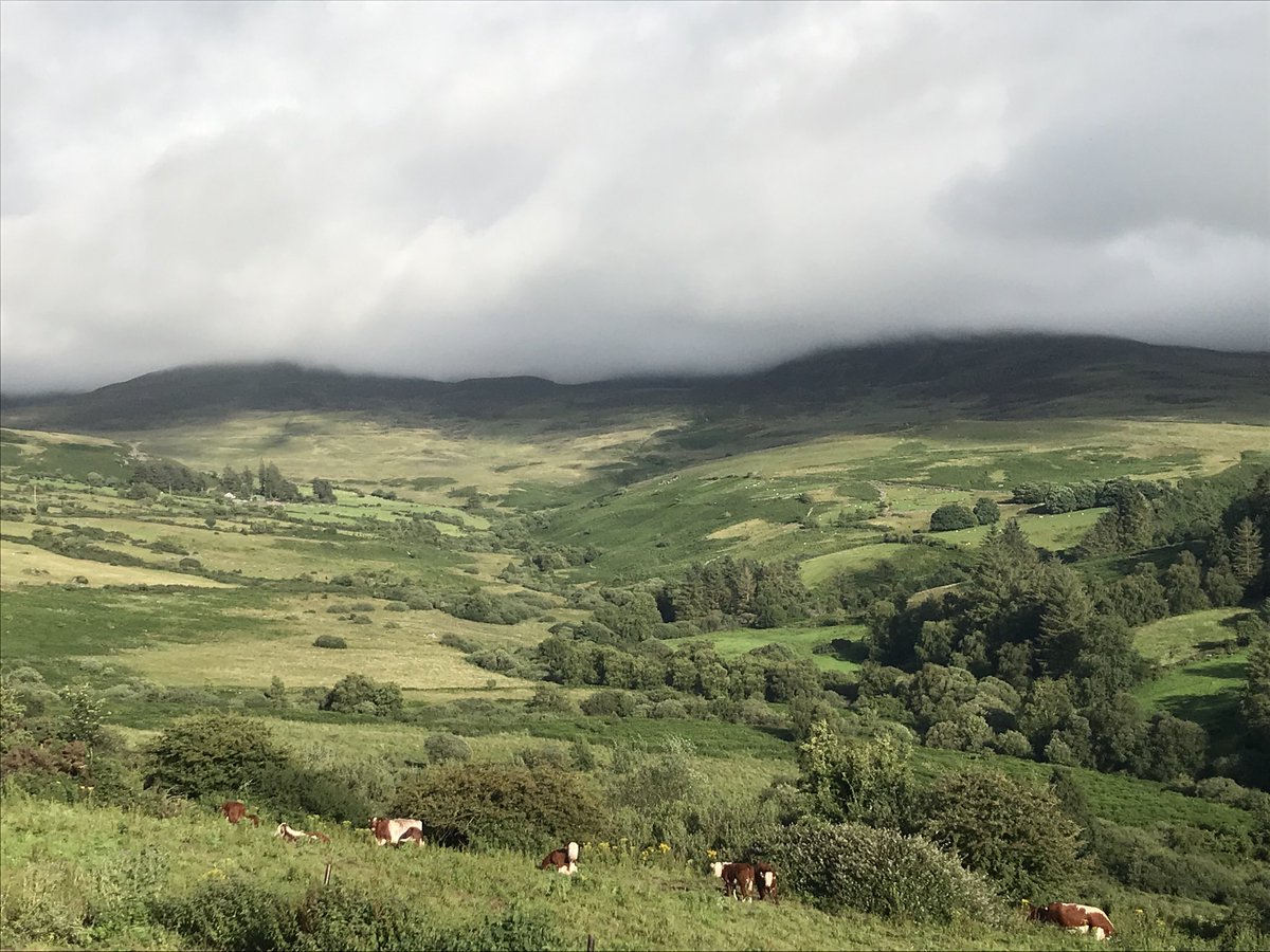WalleyRay's tweet photo. Rugged and wild - The Nire Valley #beautifulireland #amazingireland https://t.co/kgGW8sl7eo