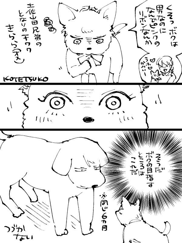 明日はどっちだ!わんこ編🐕 