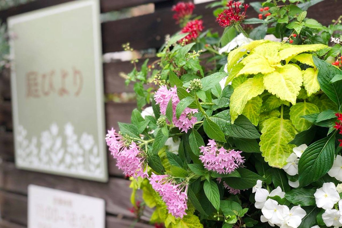 我孫子インフォメーションセンター Ar Twitter 湖北台中央公園近くの 庭びより 千葉県我孫子 市湖北台4 6 18 は花好きが喜ぶ珍しい植物が揃う花屋 よく咲き長持ちする質の良い苗を仕入れるのが店主のこだわりで 育て方も丁寧に教えてくれるので初心者でも安心です