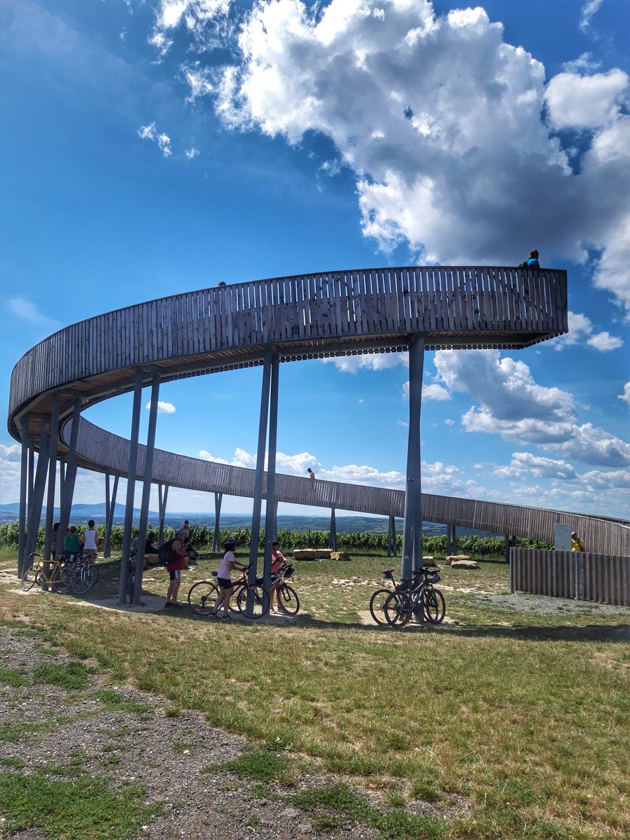 DavidOdnoha's tweet photo. Včerejší rodinný cyklovýlet v rámci poznávaní jižní Moravy byl fajn, i když nám 40 kilometrů zabralo téměř celý den 😀 #mutenice #kobyli #vrbice #cejkovice https://t.co/rvHNTXepKp