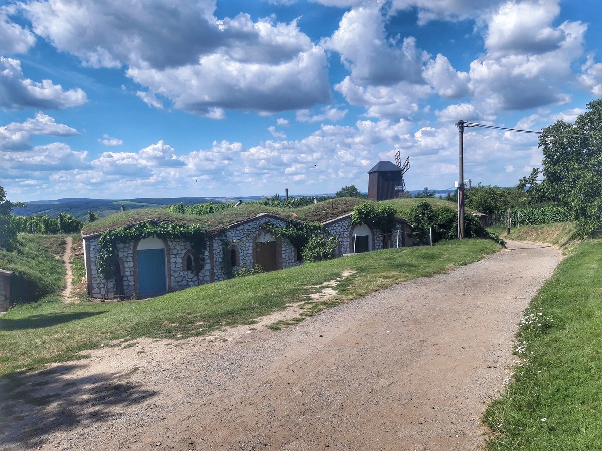 DavidOdnoha's tweet photo. Včerejší rodinný cyklovýlet v rámci poznávaní jižní Moravy byl fajn, i když nám 40 kilometrů zabralo téměř celý den 😀 #mutenice #kobyli #vrbice #cejkovice https://t.co/rvHNTXepKp