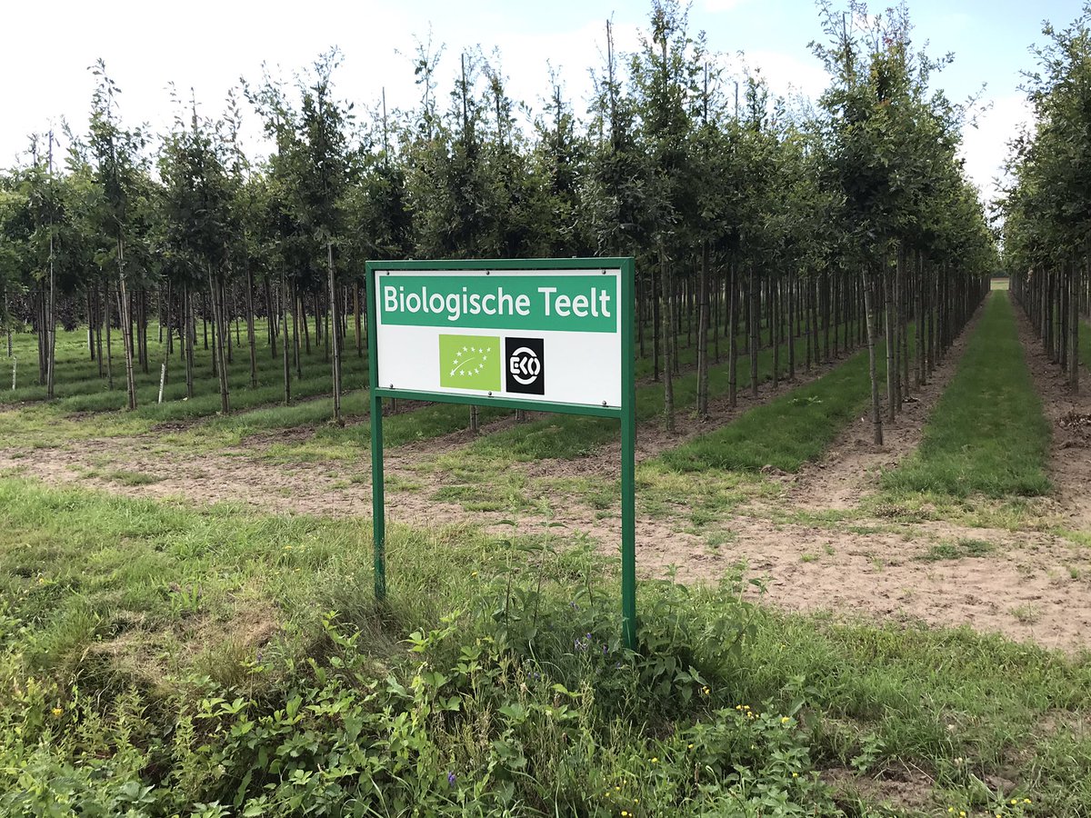 BootCoUK's tweet photo. At Boot &amp; Dart we’re rapidly expanding out organic/eko production of field trees 🌳 and container shrubs 🍃 https://t.co/uBXLAZ2Ahh