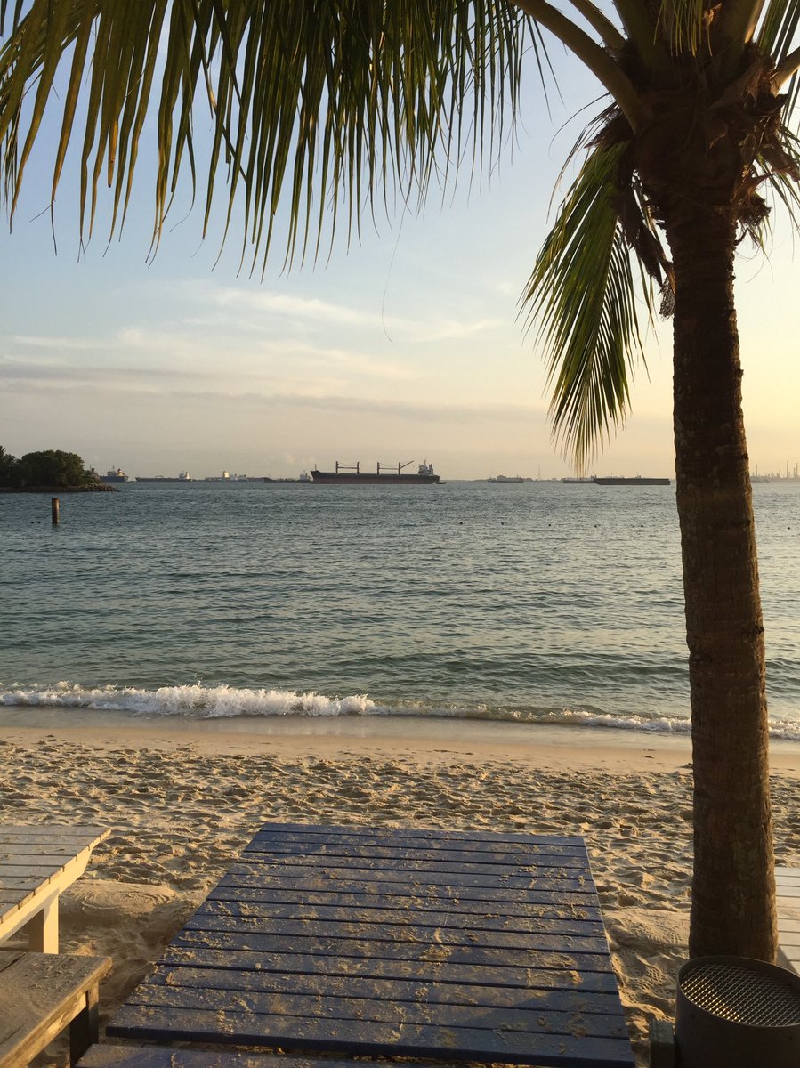 HSNorup's tweet photo. 58 days countdown to #TheHungryGhost 🥢👻🌴

I liked to end a hike of the #SouthernRidges by taking the gondola to #Sentosa and walk down to the beach. There’s nothing like a swim in the sea after an active morning in tropical heat.

#SingaporeNature https://t.co/tGYZZ4KF29