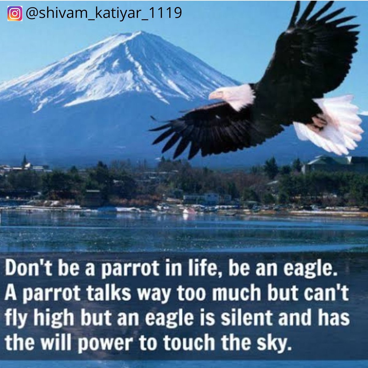 Shivam_Kt_1119's tweet photo. Don't be a parrot in life, an eagle. A Parrot talks way too much but can't fly high but an eagle is silent and has the will power to touch the sky.
.
.
.
.
.
#shivam_katiyar_1119 #business #coach #entrepreneur #success #nevergiveup #businessminded #bepostitive #money #goal https://t.co/xqJPX2xK4W