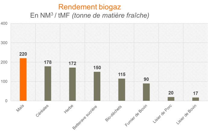 7/En  les politiques ont subventionné le maïs pour ‘nourrir’ les méthaniseurs , logique, le maïs a un pouvoir methanogène BEAUCOUP plus fort que les fumiers et lisiers Sur le graphique de  @TerrenetFR ‘ y’a pas photo!’ 