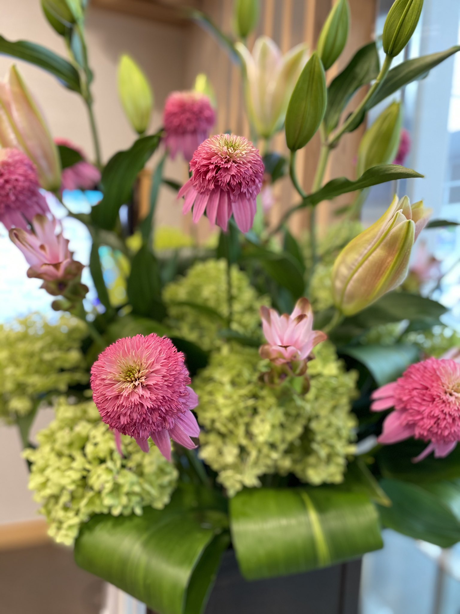 Florist花秀 定期装花 珍しいお花を使用いたしました ピンク色の花は エキナセア です 和名は 紫馬簾菊 むらさきばれんぎく 和名は なんか強そうな名前ですが お花は可愛いですよね 大田区 蒲田 花屋 花秀 定期装花 エキナセア