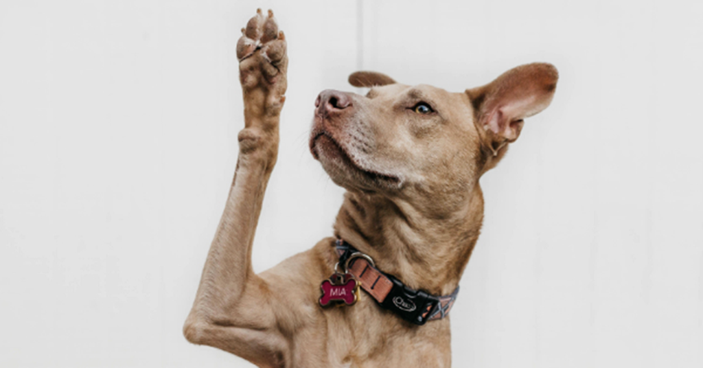 Gli utenti ti mentono, per amore
▸ lttr.ai/URYT