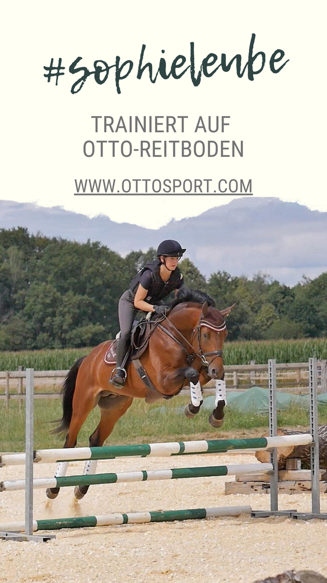 ottosportint's tweet photo. ISSELHOOKS FIRST SIGHT TSF wird Geländepferde-Champion 2020 mit einer 9,5, der Spitzennote des Tages!

ISSELHOOKS FIRST SIGHT TSF wird von #sophieleube auf unserem OTTO Sport Vorführ-Reitplatz in Hamm trainiert. Mehr Reitplatz Infos hier:

https://t.co/8BzNaV8fhx https://t.co/BQrgs0qu2G
