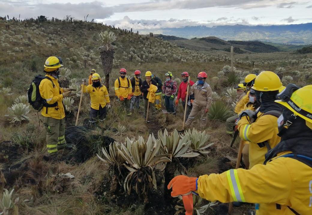 PASFecuador's tweet photo. La Reserva Ecológica El Ángel en el hermoso páramo de frailejones, acogió del 22 - 26 de julio, el II Curso Brigadistas Especialistas en Manejo Integral del Fuego #BREMIF. Nuestro agradecimiento fraterno al #CBEspejo y a la #REElAngel por todo el soporte brindado. #NoMásIncendios https://t.co/RMTEThtNgg